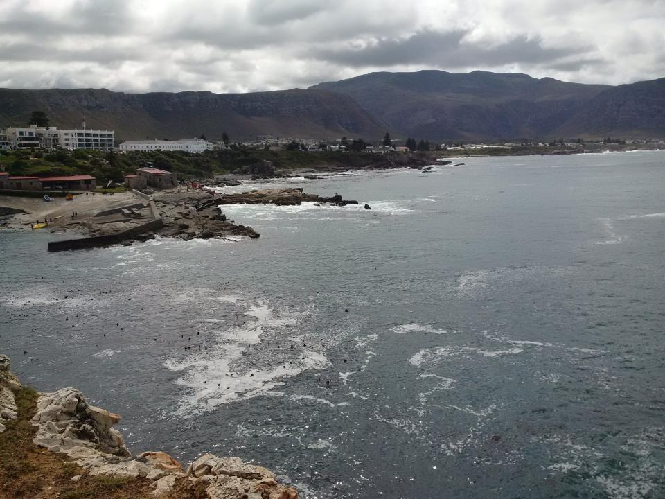 QQuaied's tweet photo. They are either shy or they're getting cold. No whales in sight yet. #Hermanus #WhaleWatching https://t.co/FzdlmfRCBN https://t.co/mKPPSLtiBG