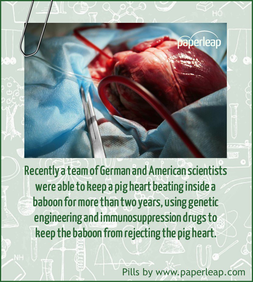 paperleap's tweet photo. I know people with baboon's brain but this is new!
#PaperleapPills #research #medicine https://t.co/GRTwjtZ1sX