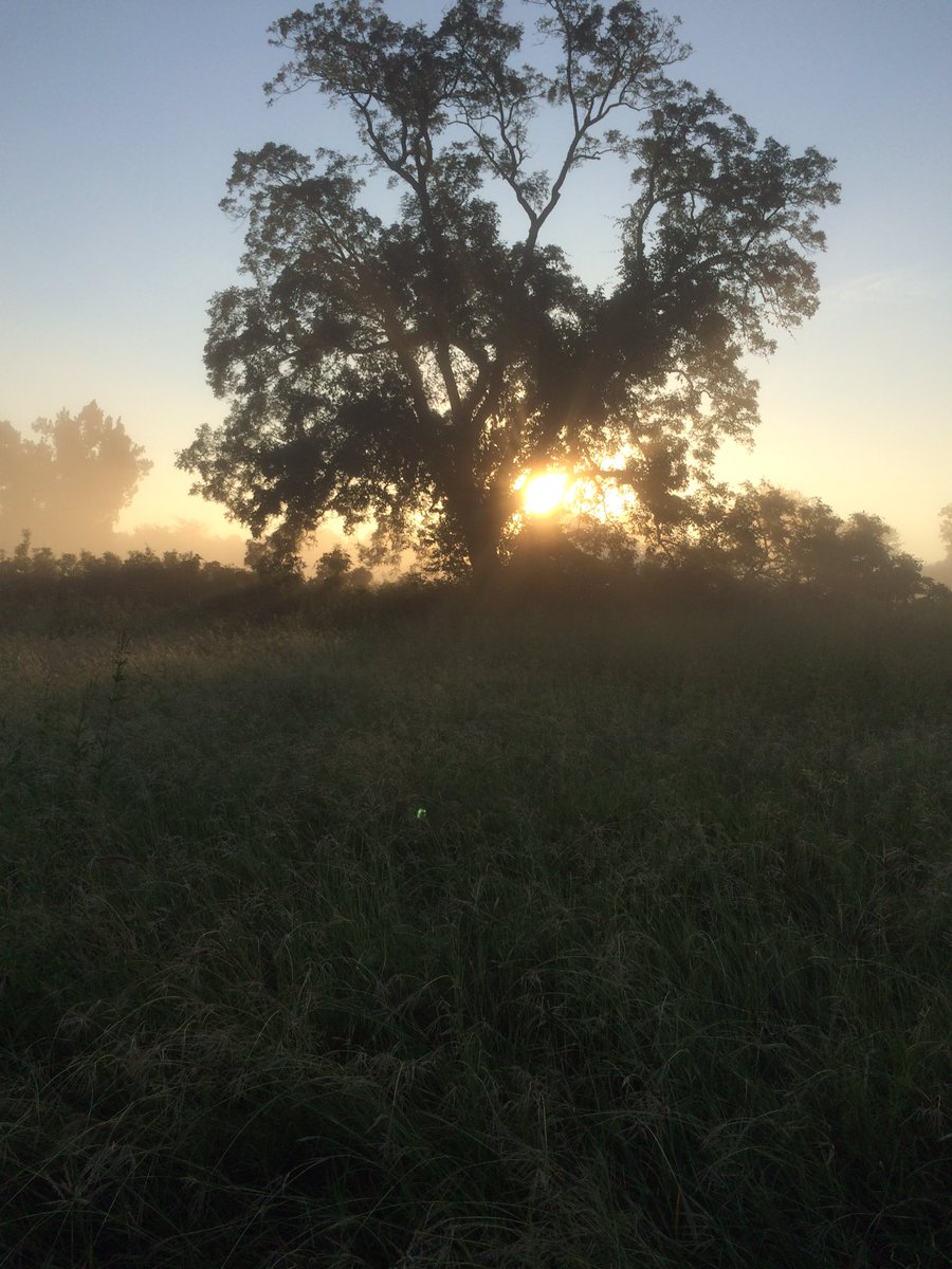 alyssa_laymon's tweet photo. Brenham is beautiful in the morning!😍😍 https://t.co/bHGnnrLCd5