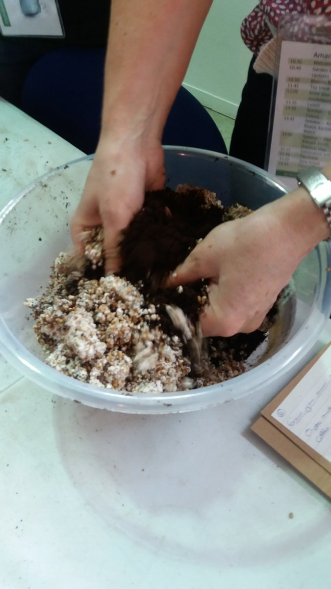 CroydonMGs's tweet photo. Fabulous mushroom growing workshop @gardenorganicuk #GOconf2016 with MG Andrew from #croydon https://t.co/nHARb82C66