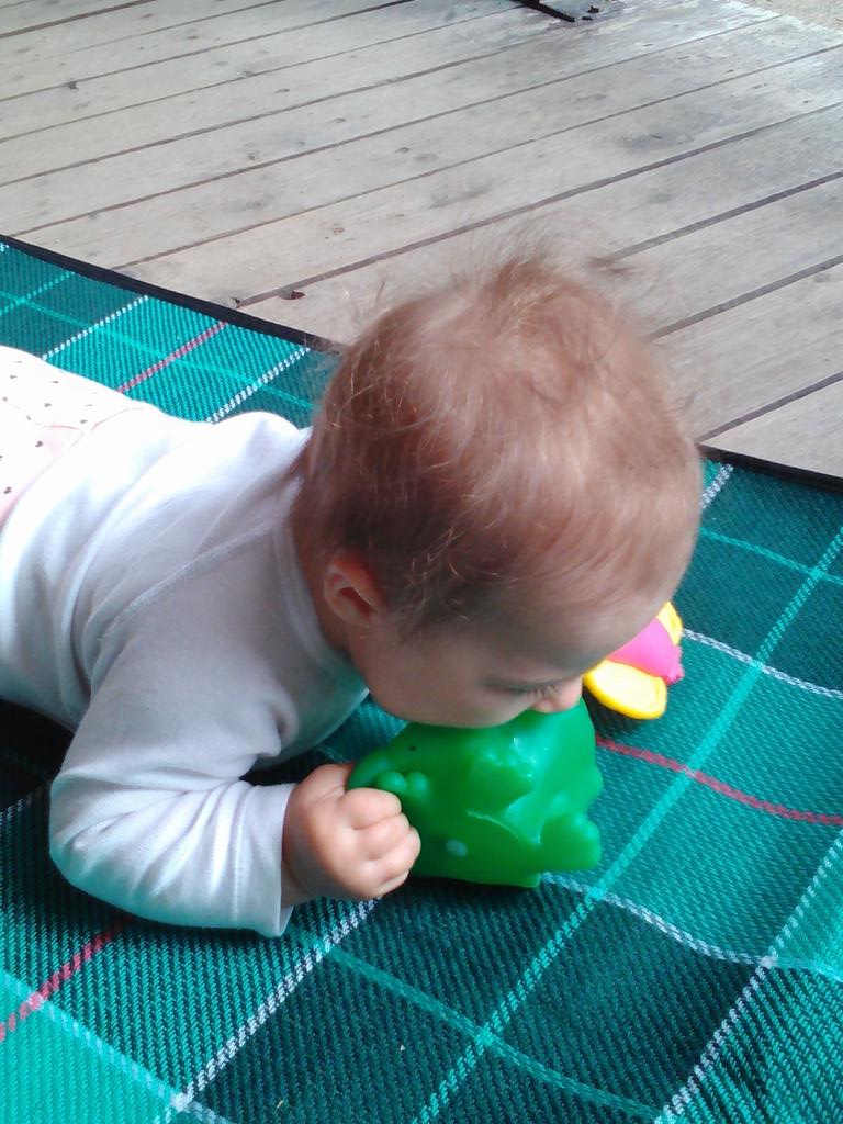 IvoInt's tweet image. 