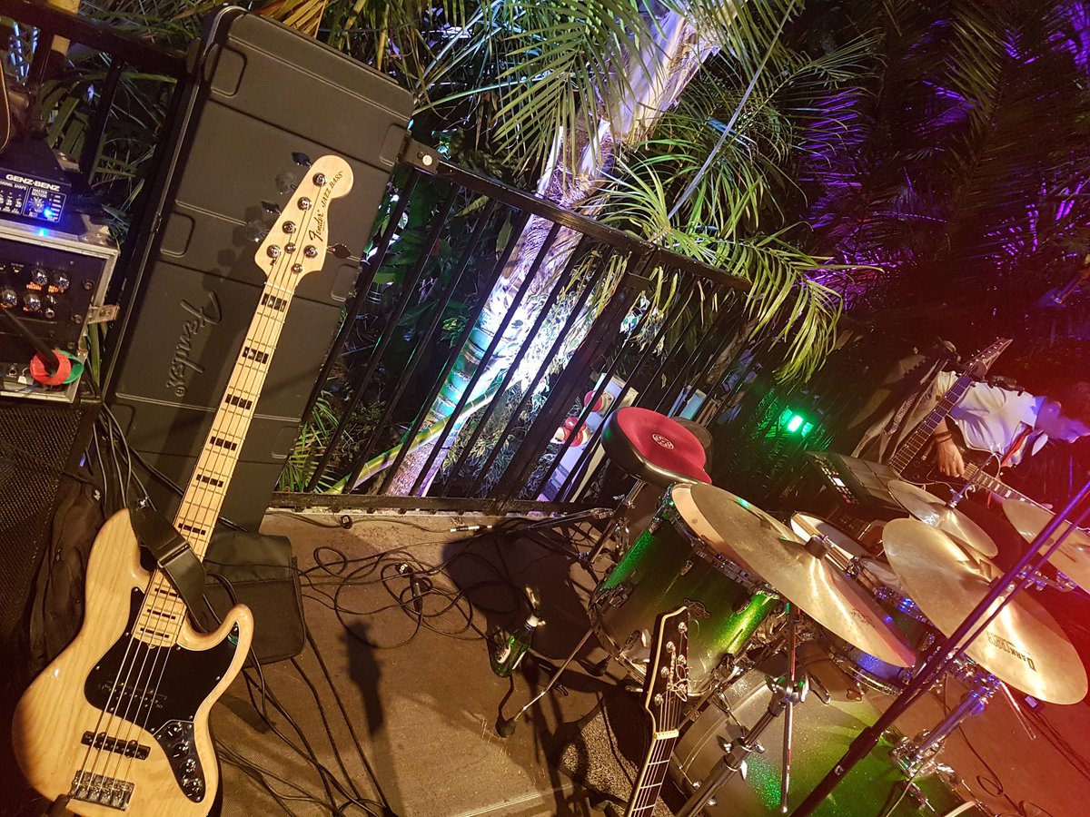 Lovely venue last night. Love playing in a jungle! <a href="/The_Palmhouse/">SeftonPark PalmHouse</a> #wedding #live #Liverpool #jungle