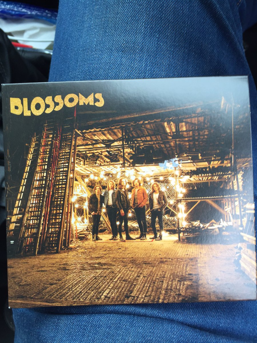 SimmoBen's tweet image. Saturday Vibes!!