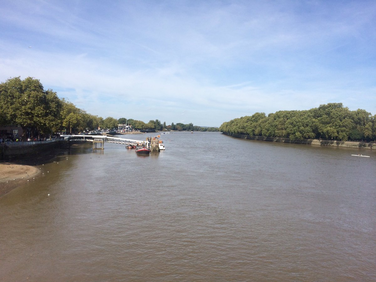 What a beautiful day! #putney #putneysw15