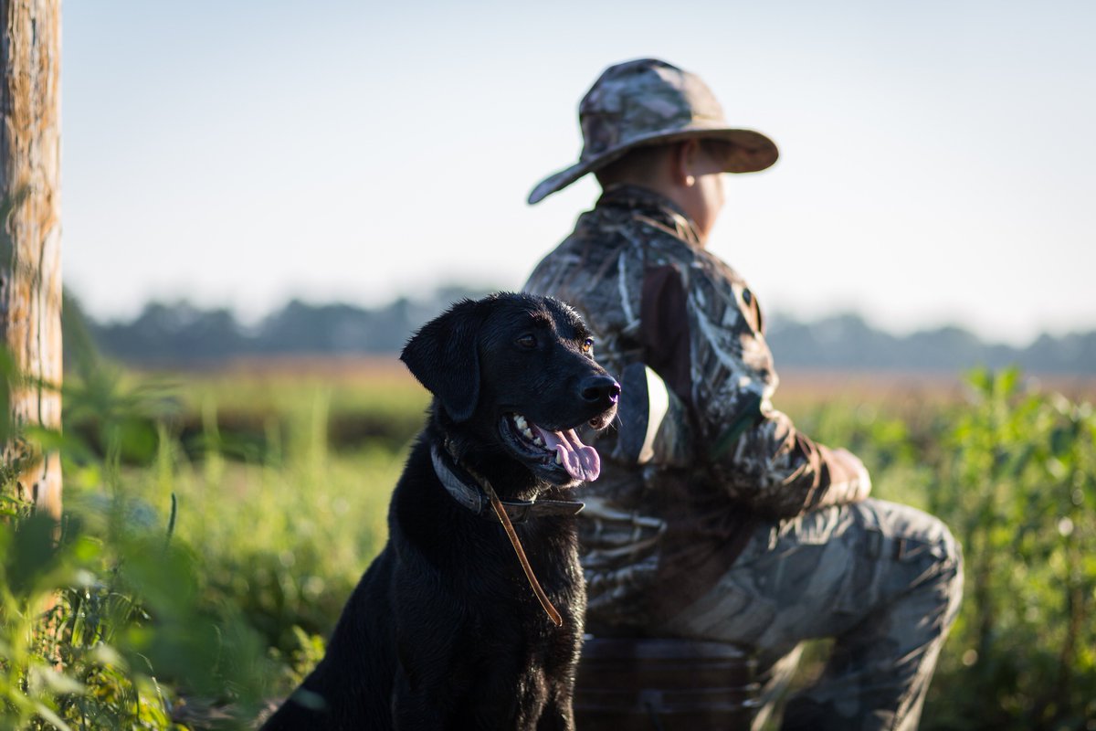NCWildlife's tweet photo. "Immerse yourself in the outdoor experience. It will cleanse your soul and make you a better person.” - Fred Bear 

#NHFD #Hunting #Fishing https://t.co/28Ou3CqE3K
