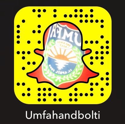 UMFA Handbolti tweet media