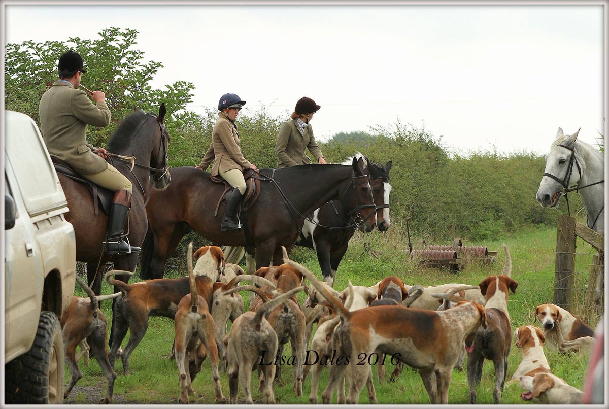 arnold_boo's tweet photo. Blowing for home after a lovely morning hunting! Couldn't ask for a better way to start the day https://t.co/K6bVpkbs94