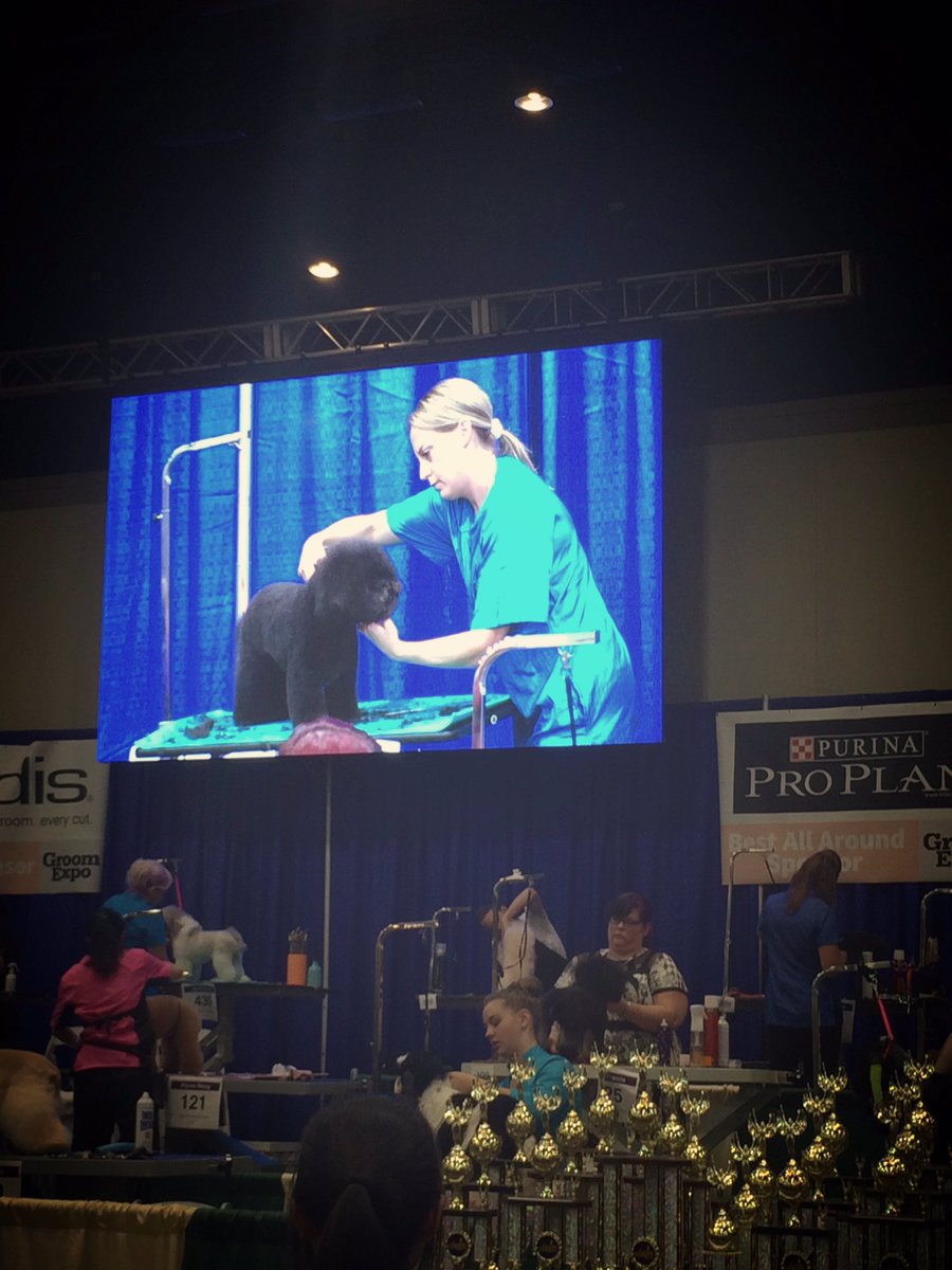 CarrieVillani's tweet photo. It's Dana Peck @aflm_DanaP on the big screen at Groom Expo! Go Dana!! https://t.co/XKNhPNFb3V