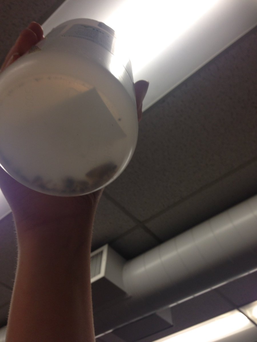 KatWhalley1's tweet photo. Week 1 is complete, approx 30 specimens captured #bioSMTP @MrJ_GABrown_VP @Smtp_Canada https://t.co/ueZoBAejmj