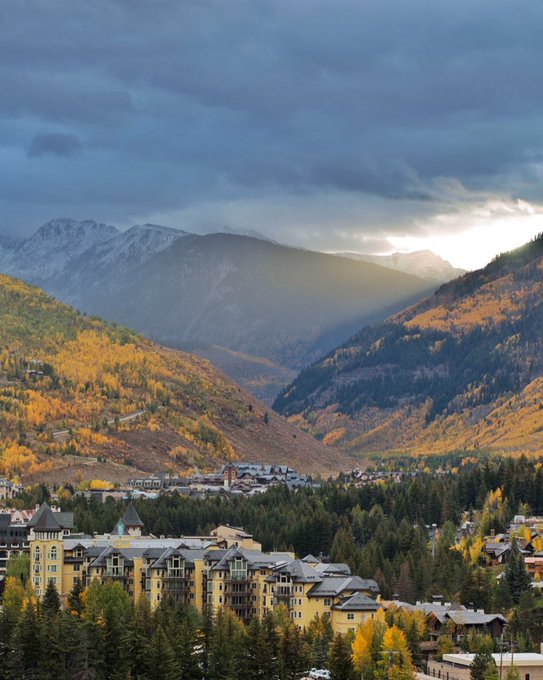 View image on Twitter