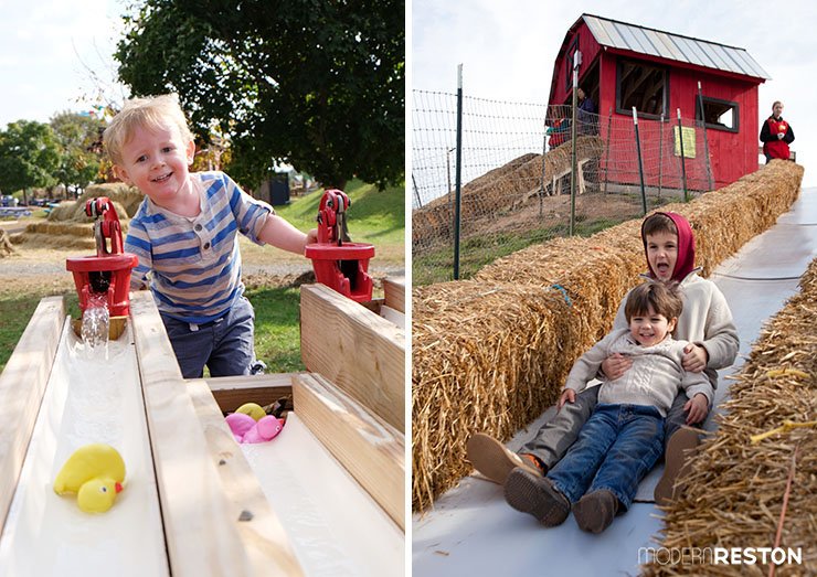 Don't miss these great tips for getting the most out of the Cox Farms Fall Festival modernreston.com/2015/10/twelve… <a href="/CoxFarmsTweets/">Cox Farms VA</a> #CoxFarms