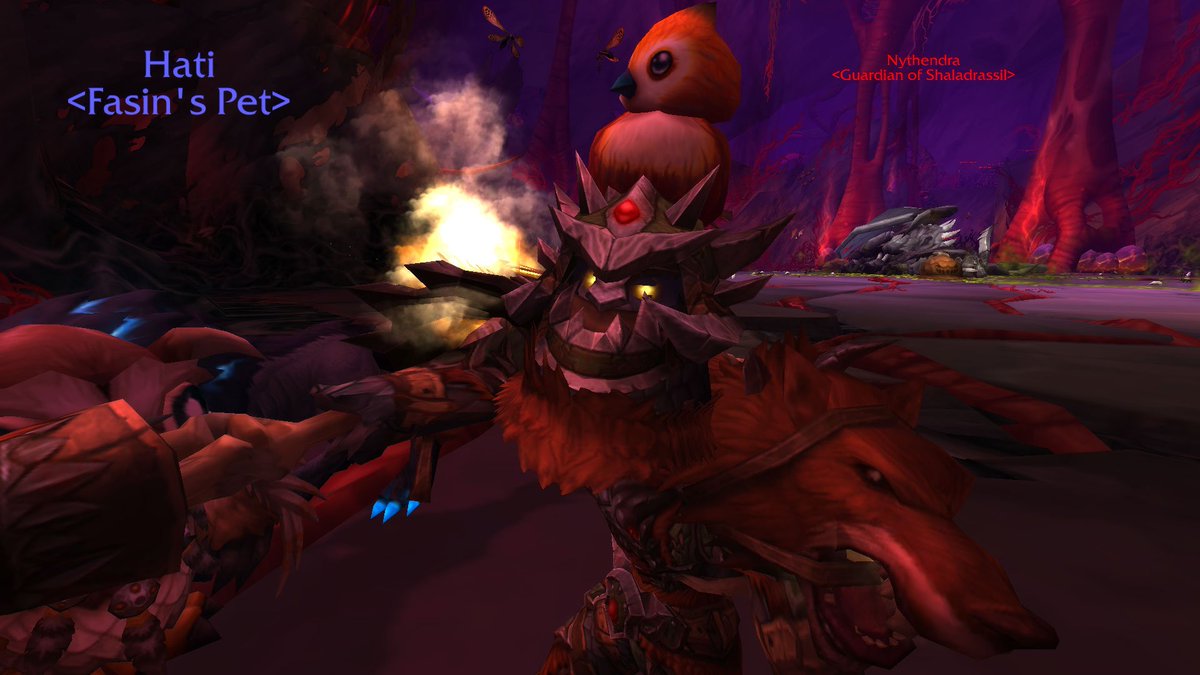 funzitime's tweet photo. Me and my buddies testing new raid))) #Pepe #weekendraid #funzitime #funtsibuntsii #funtsii https://t.co/5HPgv9nMJU