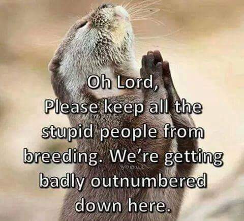 _TruePicture_'s tweet photo. We're doomed lol 

#lol #LMAO #comedy #halrious #LMFAO #funny #toofunny #ROFL #sotrue #gold https://t.co/n1Leon1as3