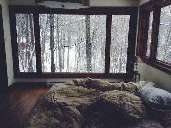 LifesFinerThing's tweet photo. Jack Frost ❄️ https://t.co/066jaC9KdS