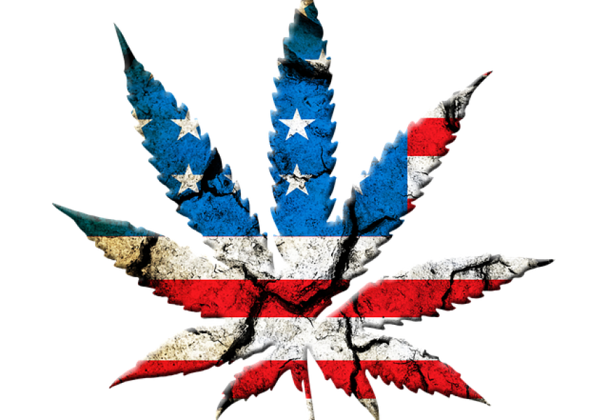 iamleafhead's tweet photo. #Curated content specific to our industry,right on your desk top. https://t.co/lT1jvtjqe3 #Iamleafhead #greenrush https://t.co/OMSkrTS1Wj