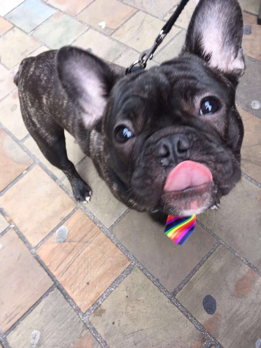 AsdaPride's tweet photo. We were in Leeds City centre today with @LeedsCC_LGBT @LeedsBiGroup @WYP_LGBT @barnardos for @BiVisibilityDay #bivis #asdapride #stayvisible https://t.co/q9FCiH3IsX