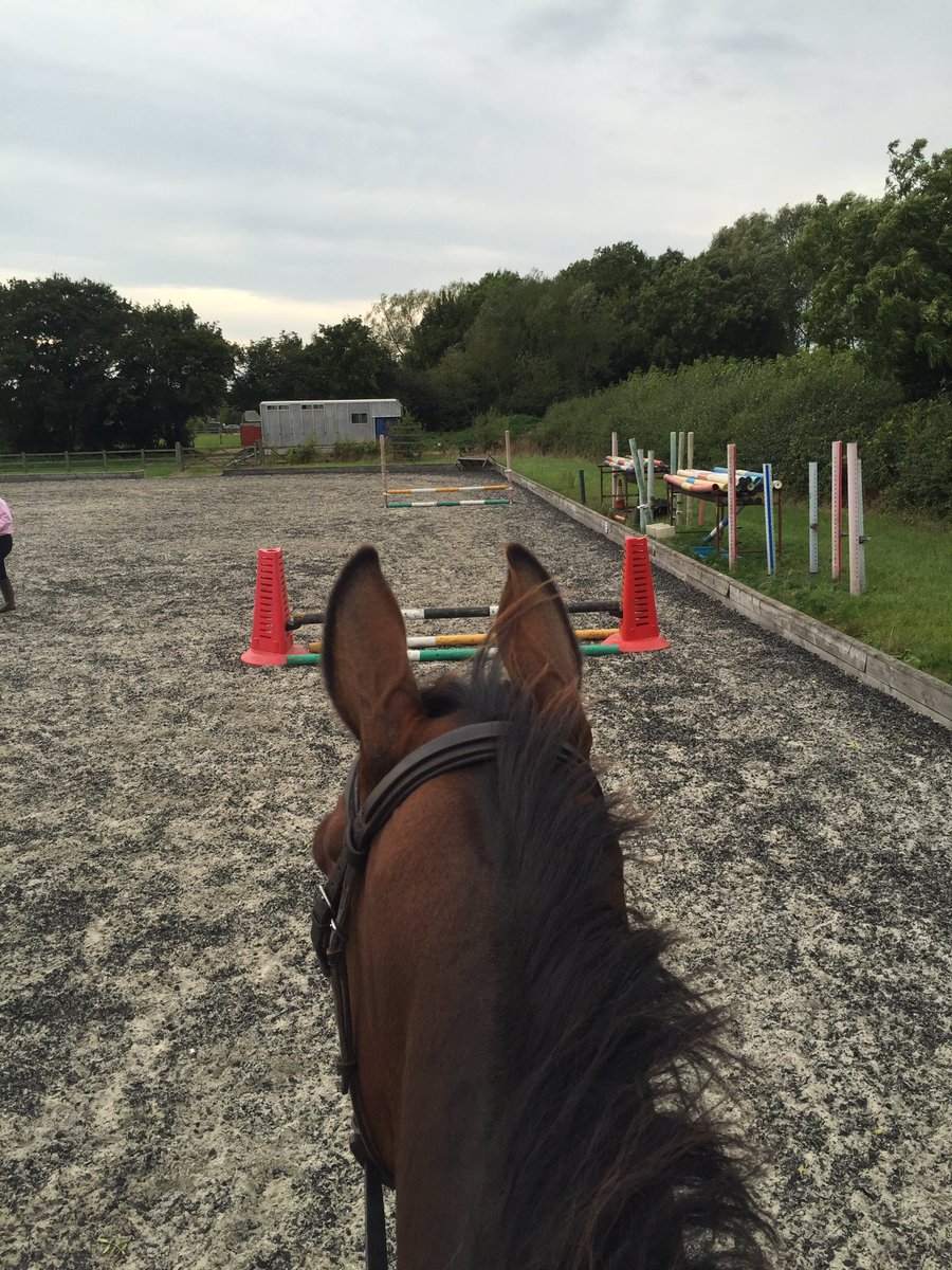 04photay's tweet photo. @THEPPORA inspired by Yogi on Wednesday @hartbury Saturday evening fun jumping the pointer! #gopointing #roseneath 🐎 https://t.co/6AcMRoneOs