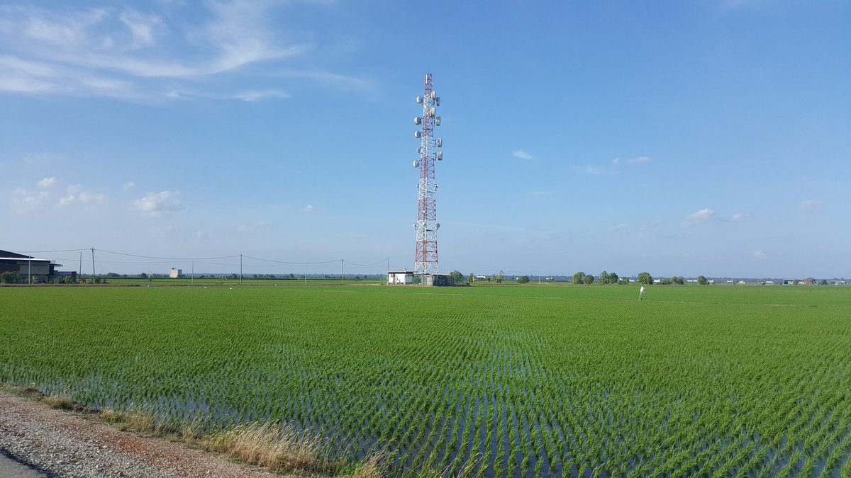 Ibrahim tweet media