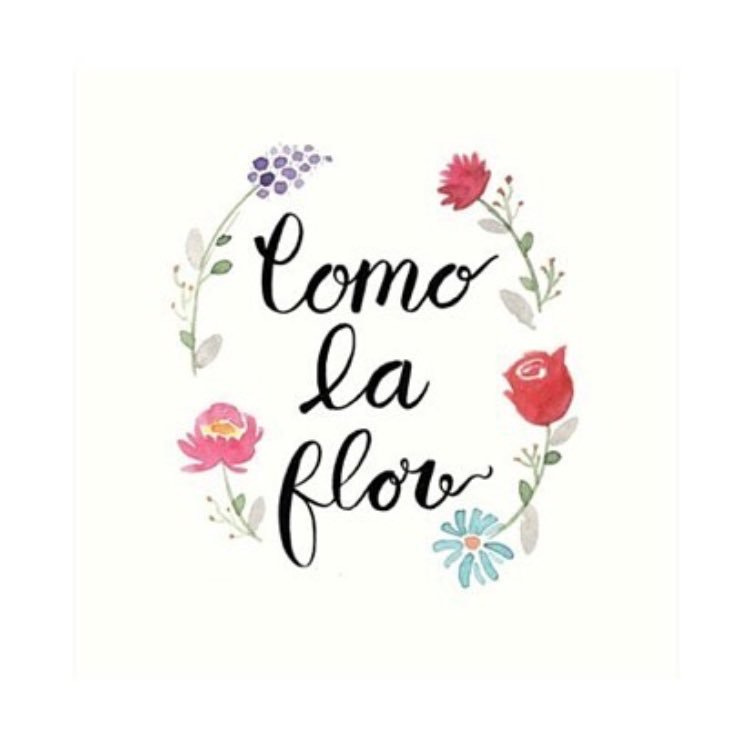 TinkerAnyss's tweet photo. #ConTantoAmor #MeDisteTu #anythingforsalinas #SatMoodInspo ❤️🙏🏼💃🏻 #bidibidibombom ando extrañando el terruño 💭 vía IG @anabrendac https://t.co/k0dcaYaKCb