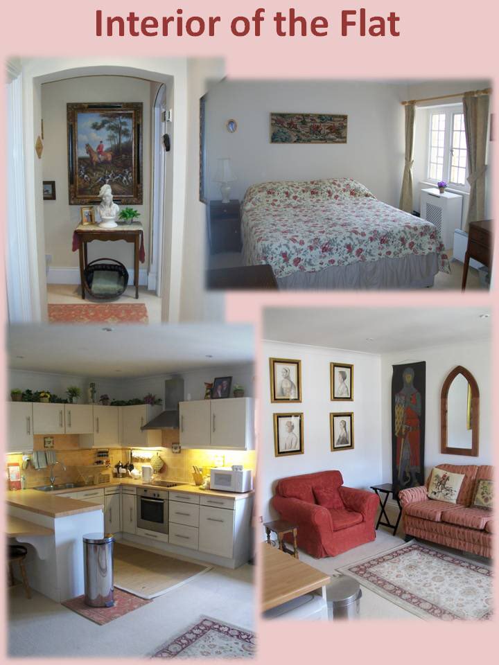 Brazos Valley Cares tweet media