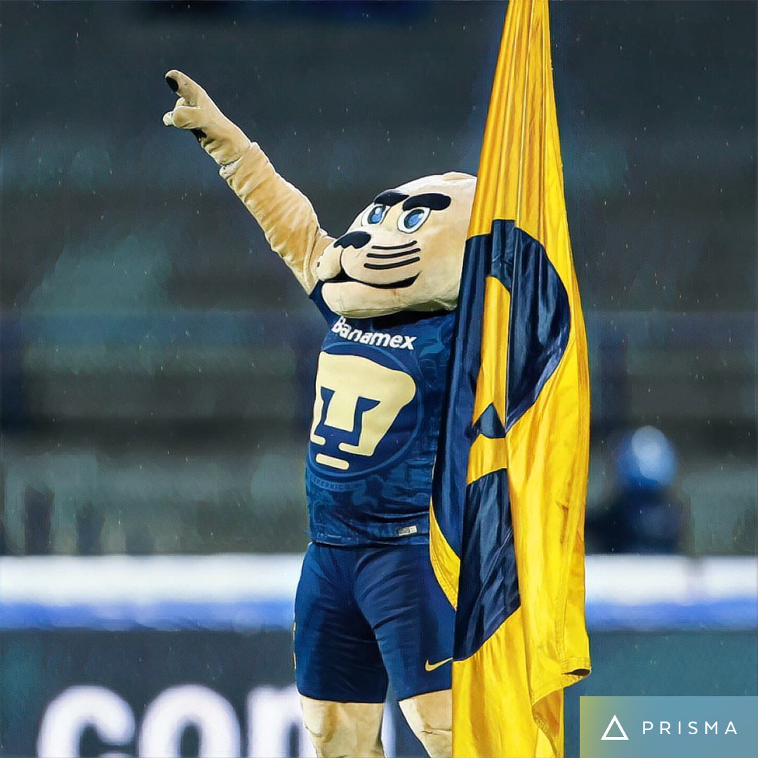 PumasMX's tweet photo. RT si ya portas con orgullo nuestros colores y estás listo para apoyarnos.
#PorTiUniversidad https://t.co/Gu2AfEH7f1