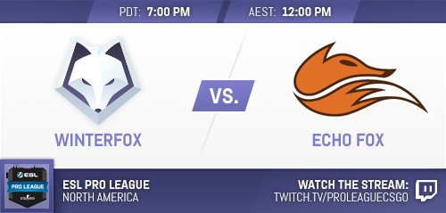 Winterfox tweet media