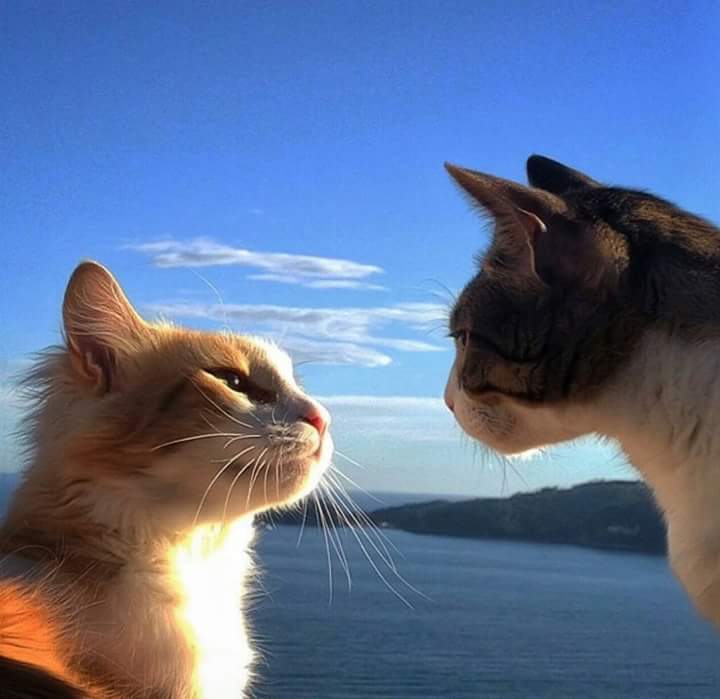 hicusanmam's tweet photo. birbirimize şöyle baksak yeterdi https://t.co/QmNjcnTBr3