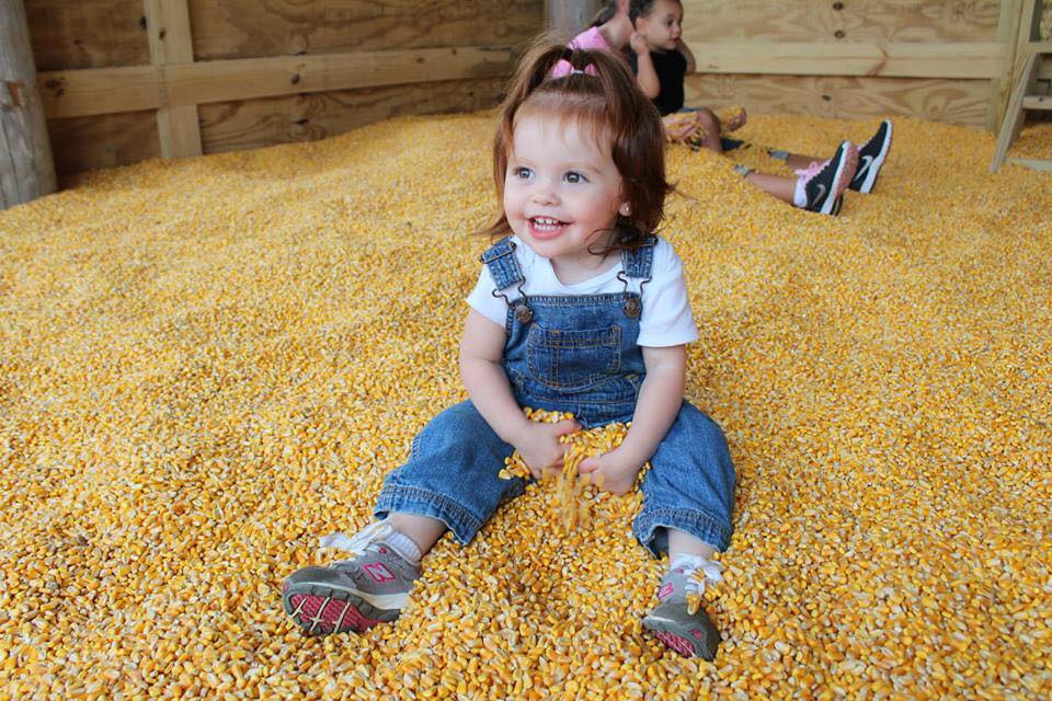 FallFamilyFun's tweet image. We are open! Join us tomorrow, Sunday afternoon, from 12:00pm-6:00pm. We can't wait to see you on the farm! #honeysucklehillfarm