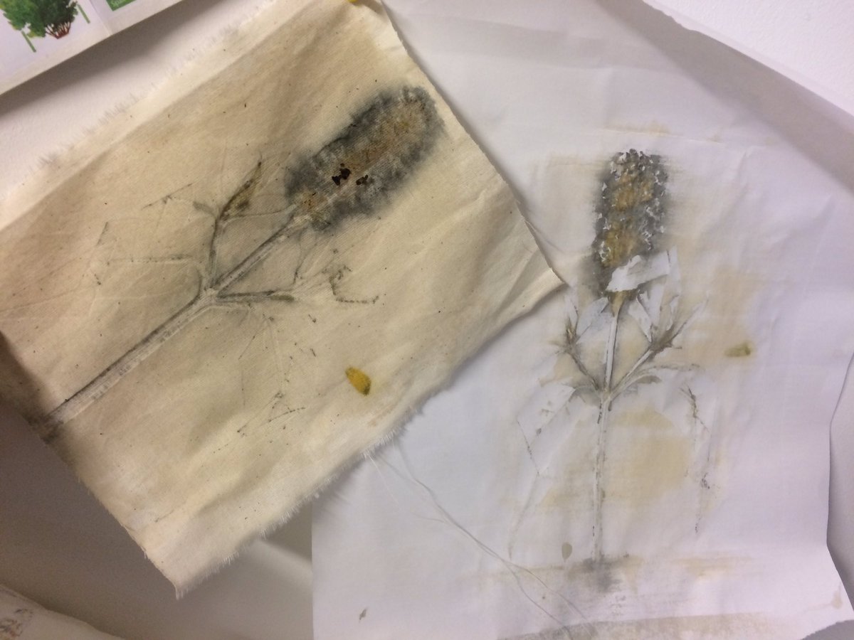 CharLoDesigns's tweet photo. The absolutely wonderful results from participant's work today's #hapazome #naturaldye workshop!#dundeeminimakeoff #dundeeworkshops#plantdye https://t.co/aeUdJ4kCXv