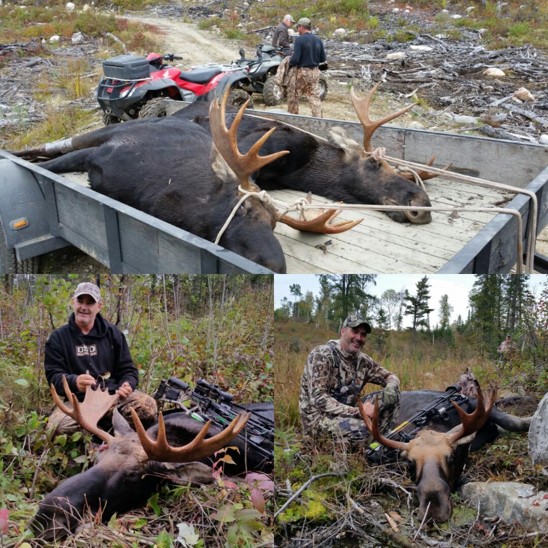 Norfolk_Hunter's tweet photo. Opening day success. Congratulation to @Randyroad and @stmarcink on shooting these 2 bulls. Glad to be part of this hunt.  1 for the books! https://t.co/UUEcF8nzpr