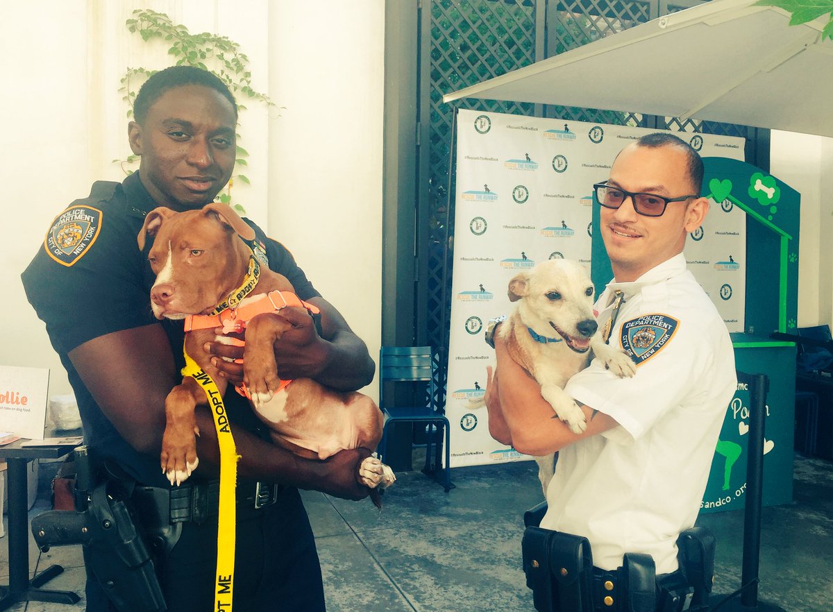 Ty to <a href="/RescueTheRunway/">Rescue The Runway</a> for inviting Lt. Briceno&amp;PO Morinia-Blocker to participate in a great cause #RescuePups #AdoptDontShop <a href="/Mrbonesandco/">Mr. Bones & Co.</a>