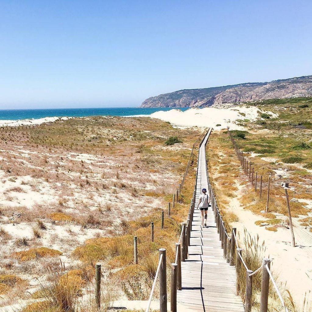 nomanbefore's tweet photo. Our favourite way to spend the weekend ✌️
#praiadoguincho #vitaminsea #weekendgoals https://t.co/Qx1mQLbPhN https://t.co/eTJzxkj48s