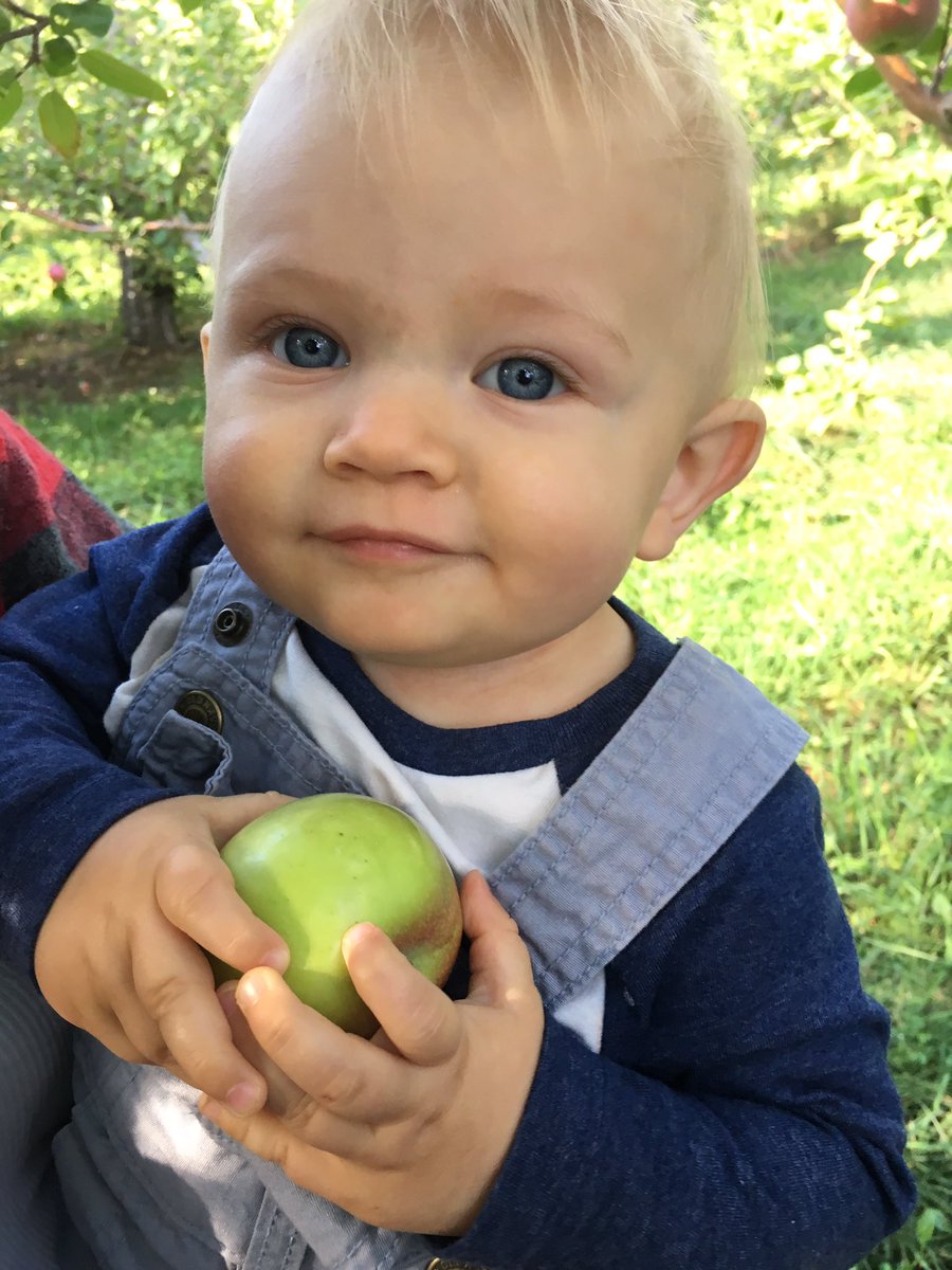Ryan_StClair's tweet photo. Emmett picked his first apple earlier today.  He's so happy with that little apple, he decided to nap with it.. https://t.co/CLfUKqgE5X