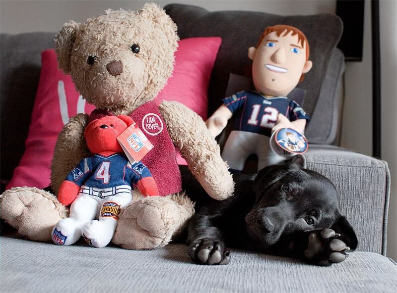 WillyBearT's tweet photo. Saturdays are for the boys #keepup #barstoolsports @barstoolsports @_BIGCAT @Patriots #Patriots #Bear https://t.co/LWfPBlBmTO