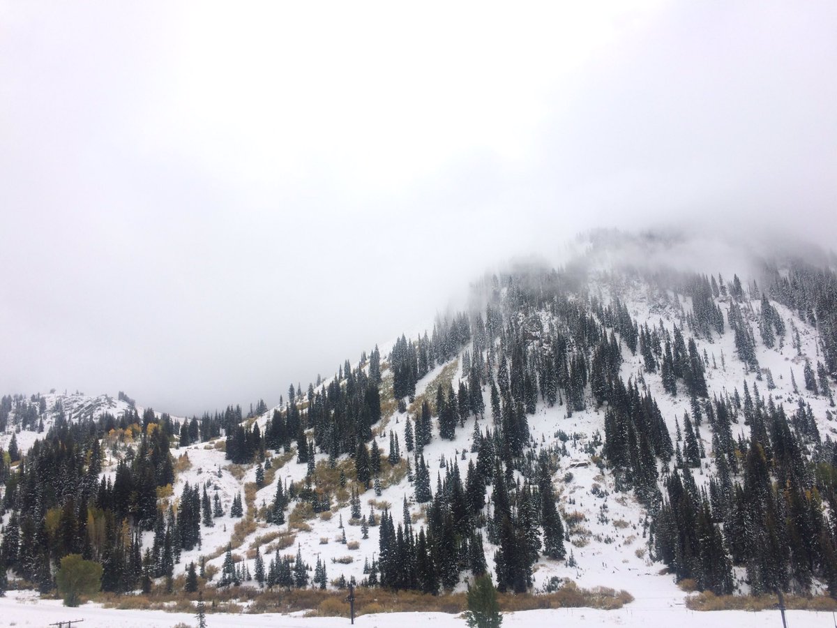 LondonMacy's tweet photo. Little Cottonwood today! https://t.co/NfQbLfa9W8