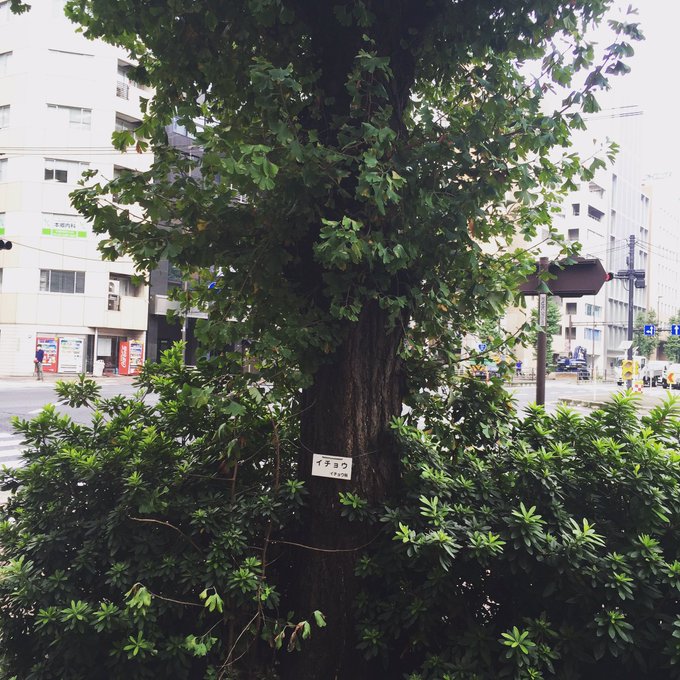 2016年09月 Yuu Media Town Blog Archives