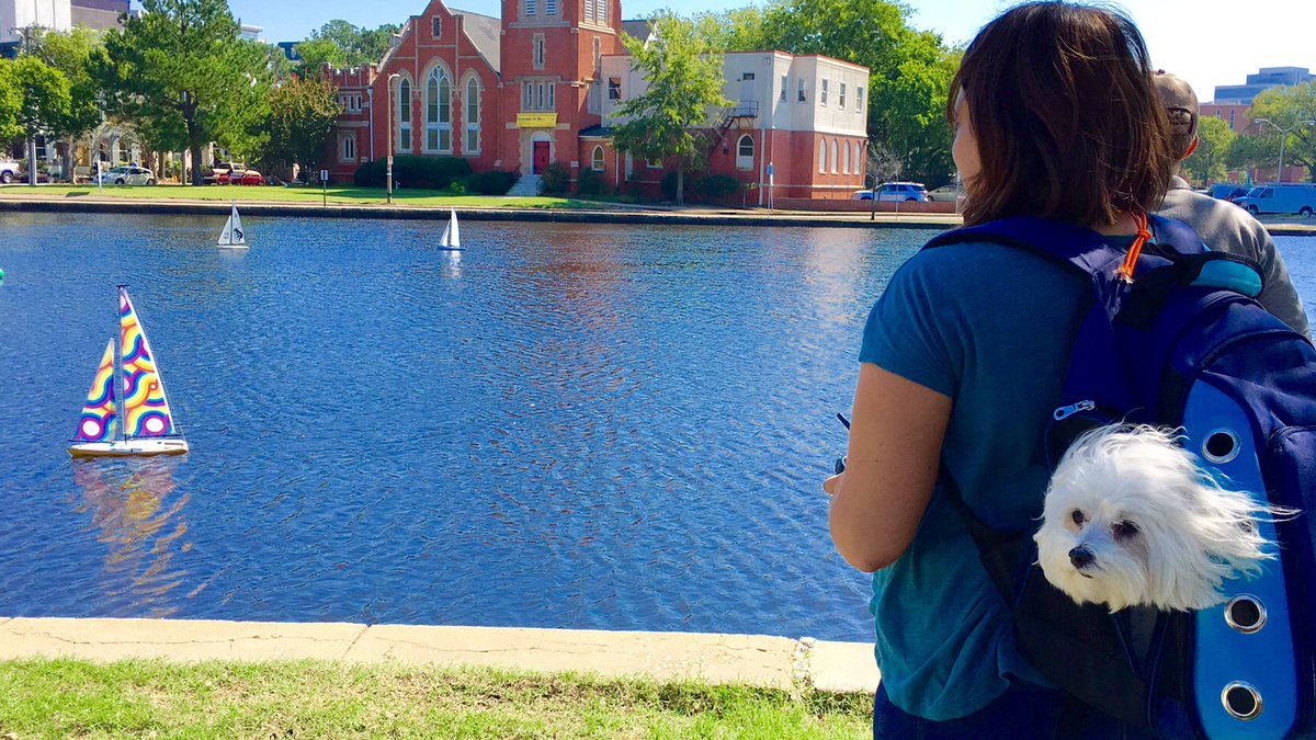 BotSail's tweet image. It's Maltese Falcor! #neverendingstory