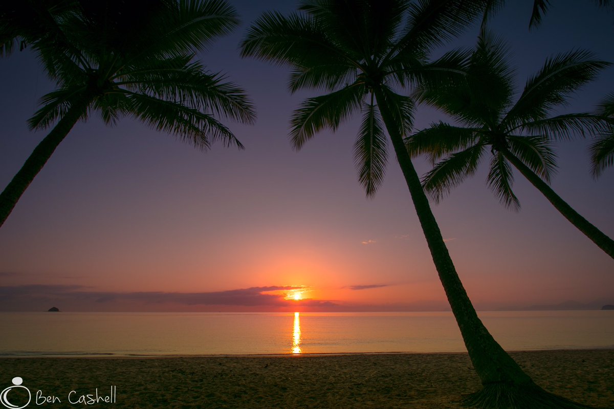 What a way to start the day!! #thisisqueensland #Australia #stunning #lazysunday #beach #cairns #PalmTrees #relax #itstheweekend #sunrise