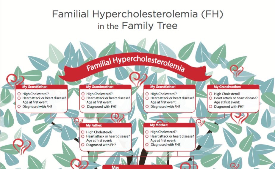 DrMarthaGulati's tweet photo. #FH #FamilyHistory + #HighLDL #KnowFH @TheFHFoundation @CardioSmart @ASPCardio https://t.co/QDgr0Zaznz