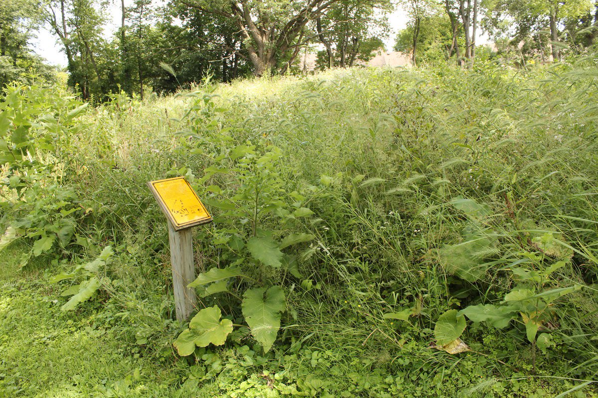 Witchesww's tweet photo. The Native American Effigy Mounds in Whitewater, WI are where many of the area's unexplained paranormal activity are born. https://t.co/qZHx2Ag321
