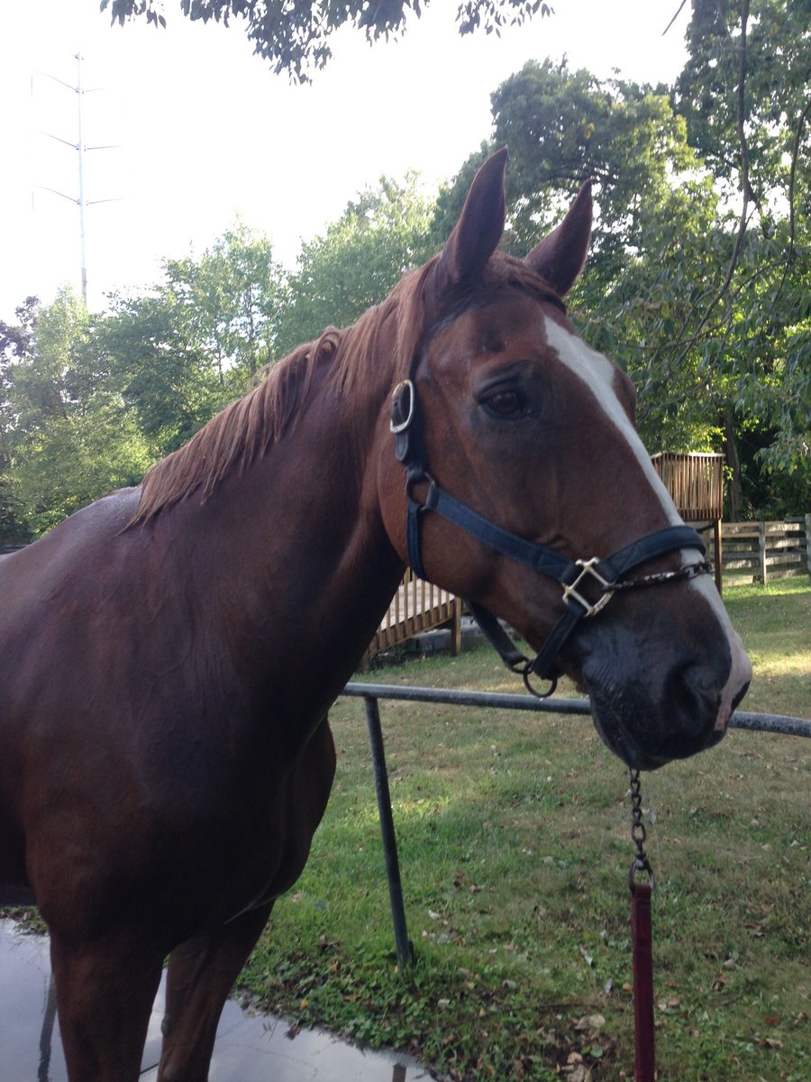 runningEQ's tweet image. Just look at that face💕