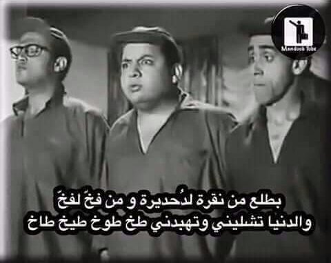 لما حد يسالك انت عامل ايه في الشغل 😂😂😂