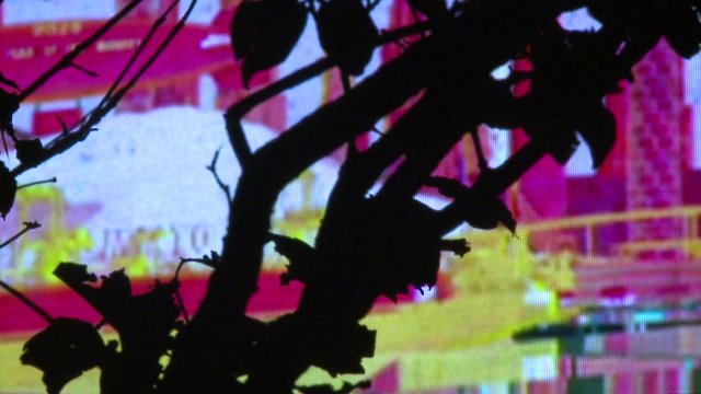 Denver hosts its first-ever outdoor digital animation festival via @DrewEngelbart