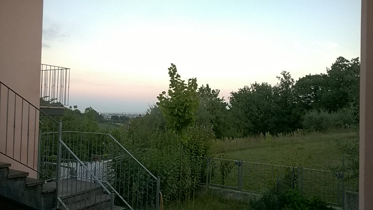 gianelli79 tweet picture
