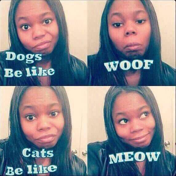 gordo (@internetciout) on Twitter photo 