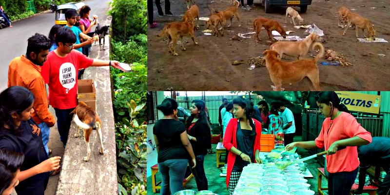 Ch_Unwrapped's tweet photo. A girl in Mumbai invited 1,200 #StrayDogs to her 12th birthday party, and the whole city was asked to join in! https://t.co/pArDl8ocFg