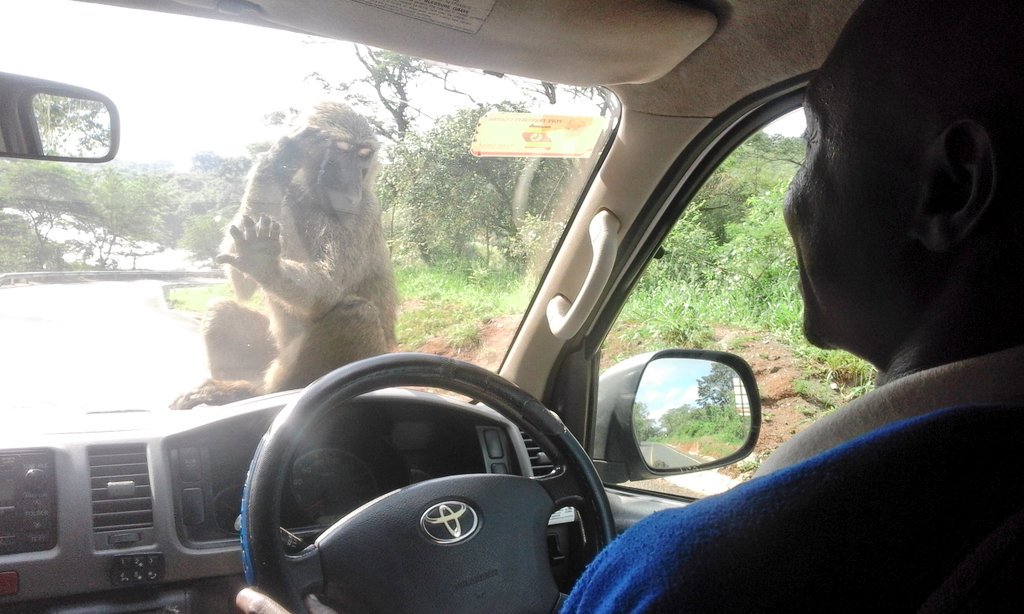 RazAthman's tweet photo. #NowCheck
@ThisIsUganda_ @sapedel @VisionGrp @basambe11 https://t.co/we3YRXCJsy