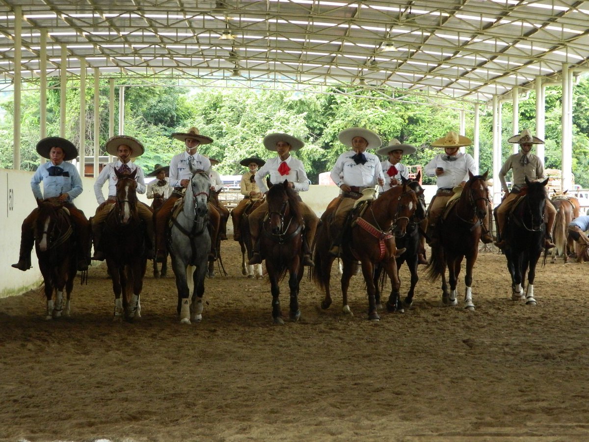 agalopetendido_'s tweet photo. Rancho @R_CristoNegro con pasaporte directo y sin escalas a @Chiapas2016 Aquí los detalles @agalopetendido_ 
https://t.co/MTdA2QqoBh https://t.co/MbF1oEOFuN