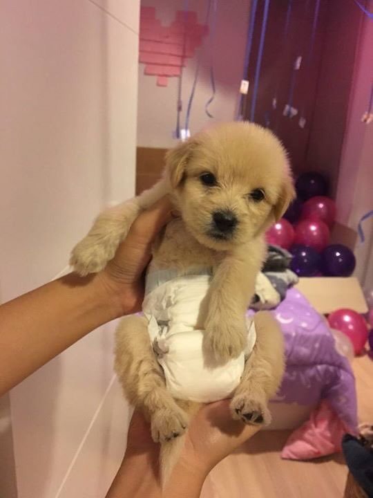 Lustige Tweets! on Twitter "Falls du einen schlechten Tag hast, hier