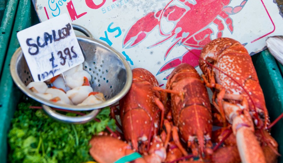PlymSeafood Festival (@plymseafoodfest) on Twitter photo Join Ben Squires for 'Catch of the Day' & the 'Fish Auction on the #PlymSeafoodFest Cookery Theatre 2.45pm @_BoatHouseCafe <a href="/WhatsOnPlymouth/">What's On Plymouth</a> Join Ben Squires for 'Catch of the Day' & the 'Fish Auction on the #PlymSeafoodFest Cookery Theatre 2.45pm @_BoatHouseCafe <a href="/WhatsOnPlymouth/">What's On Plymouth</a>